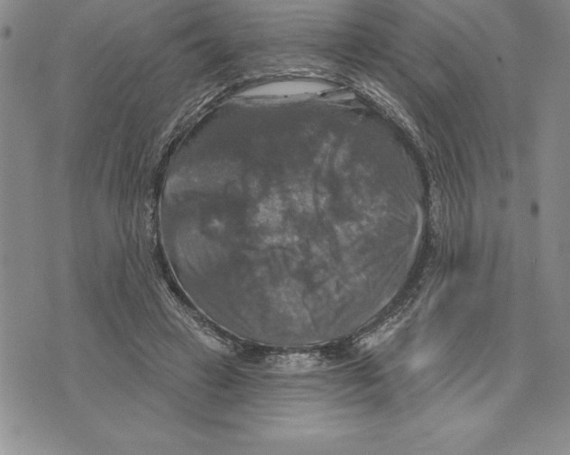 X0000075830449200610151524