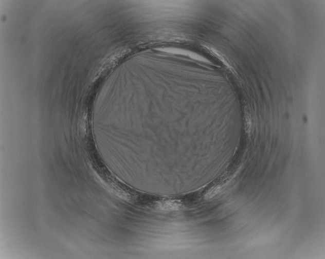 X0000075830451200610151524