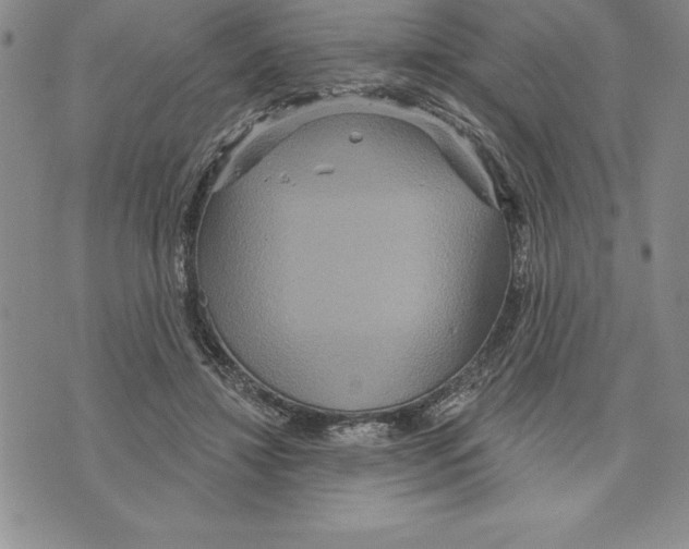 X0000075830452200610151524