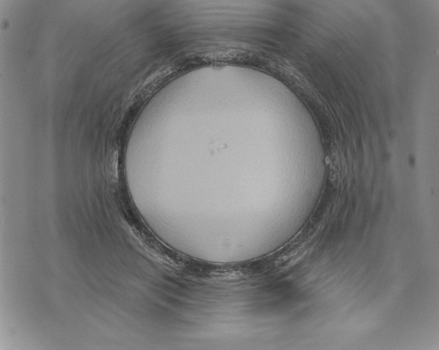 X0000075830454200610151524