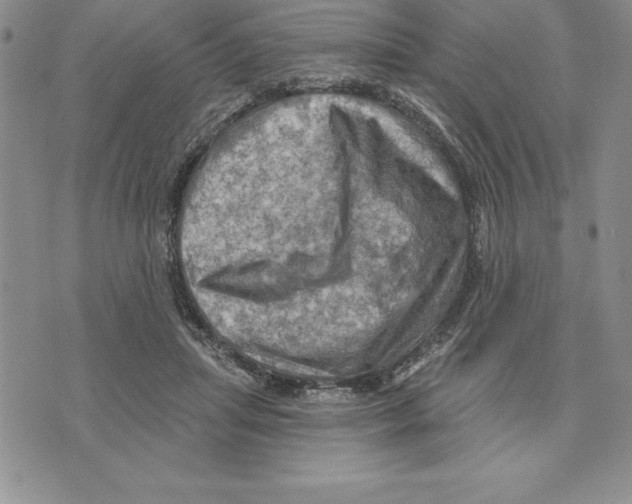 X0000075830455200610151524