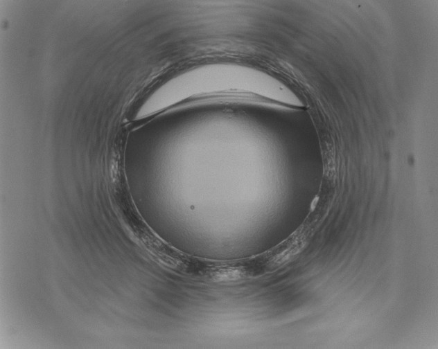 X0000075830456200610151524