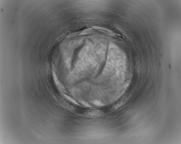 X0000075830459200610151524