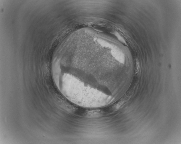 X0000075830461200610151524