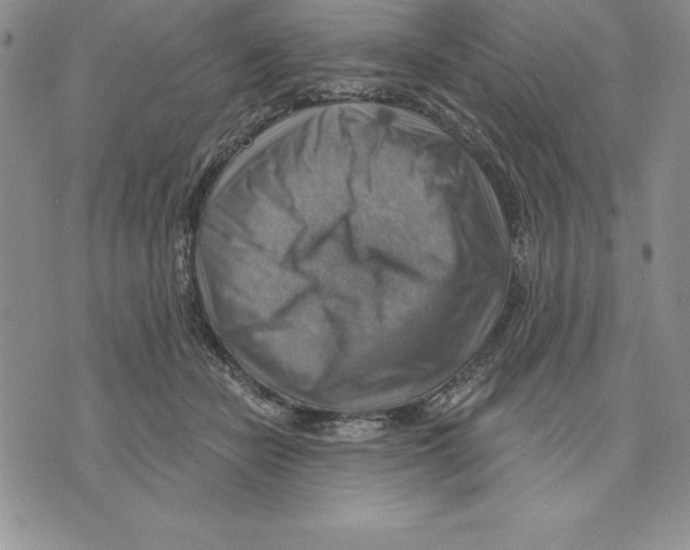 X0000075830462200610151524