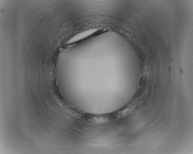 X0000075830464200610151524