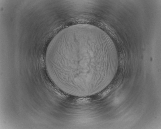 X0000075830465200610151524