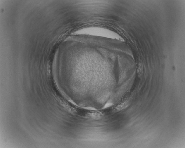 X0000075830466200610151524