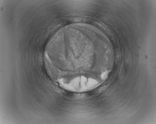 X0000075830469200610151524