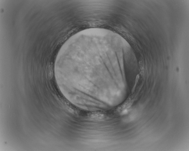 X0000075830471200610151524