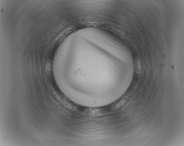 X0000075830472200610151524