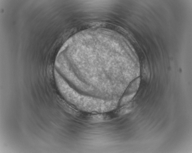 X0000075830473200610151524