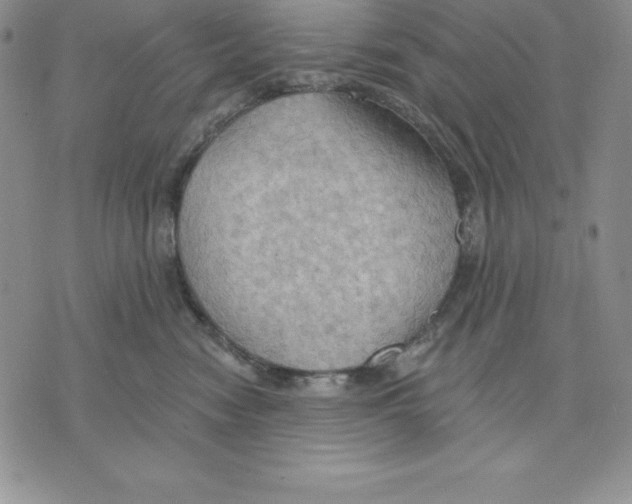 X0000075830474200610151524