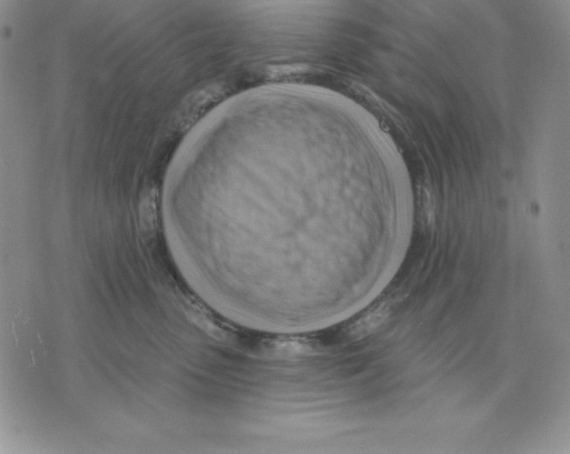 X0000075830475200610151524