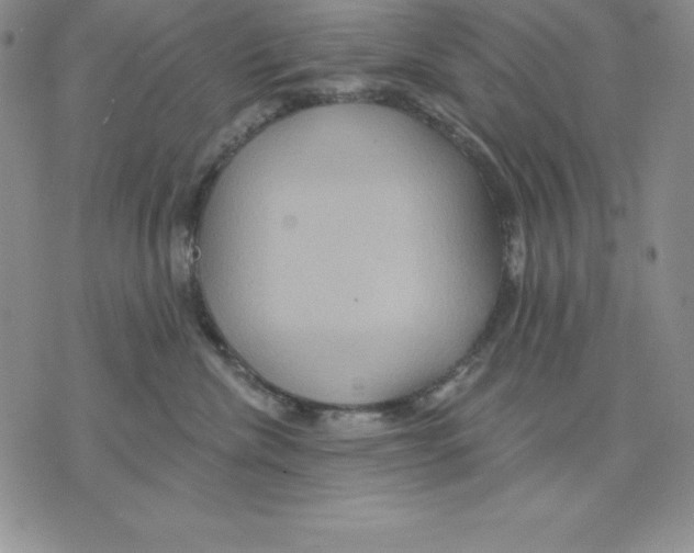 X0000075830476200610151524