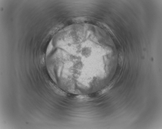 X0000075830477200610151524