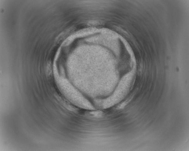 X0000075830478200610151524