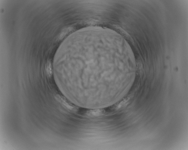 X0000075830479200610151524