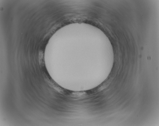 X0000075830480200610151524