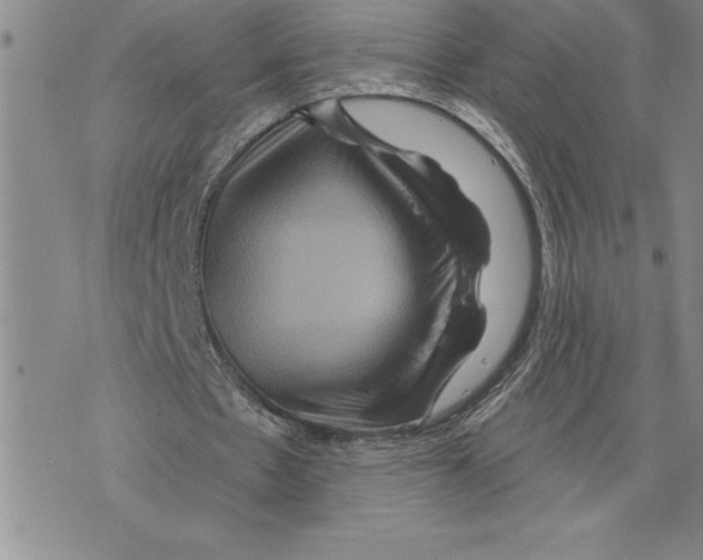 X0000075830481200610151524