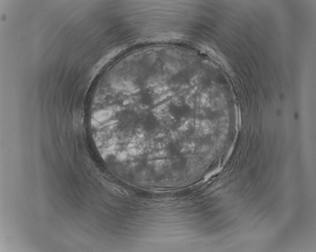 X0000075830483200610151524