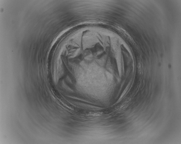 X0000075830484200610151524