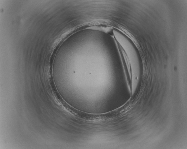 X0000075830485200610151524