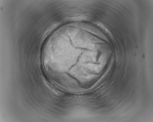 X0000075830486200610151524