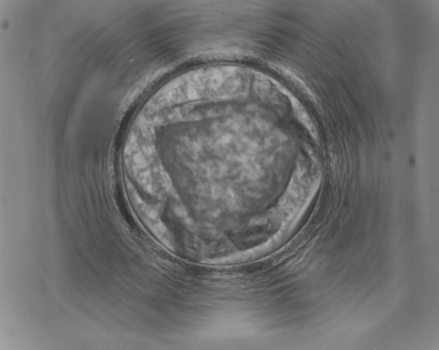 X0000075830487200610151524