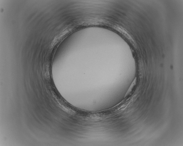 X0000075830489200610151523