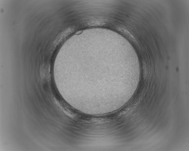 X0000075830490200610151523