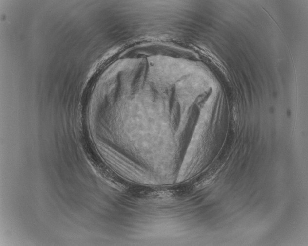 X0000075830492200610151523