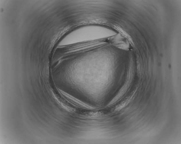 X0000075830493200610151523