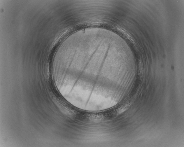 X0000075830494200610151523