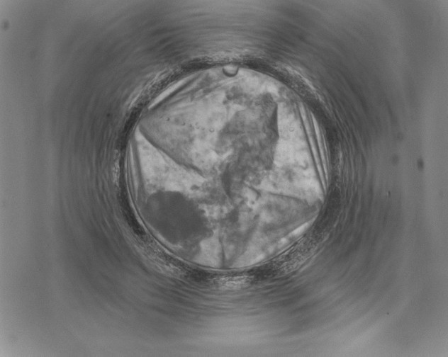 X0000075830495200610151523