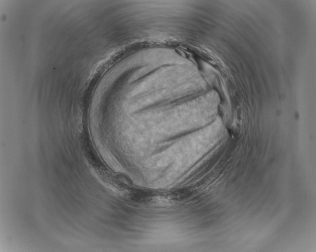 X0000075830496200610151523