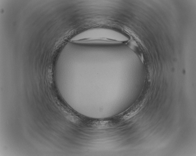 X0000075830497200610151523