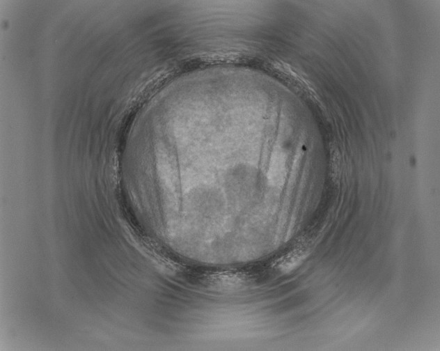 X0000075830498200610151523