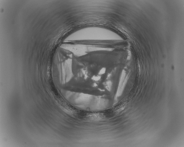 X0000075830499200610151523