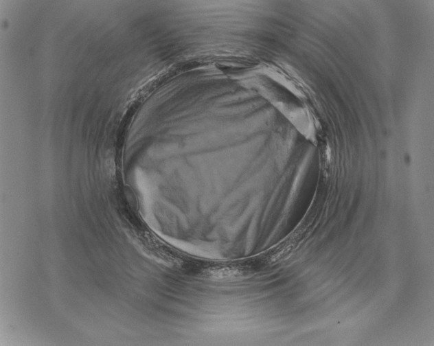 X0000075830500200610151523