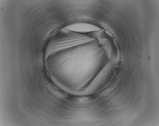 X0000075830501200610151523