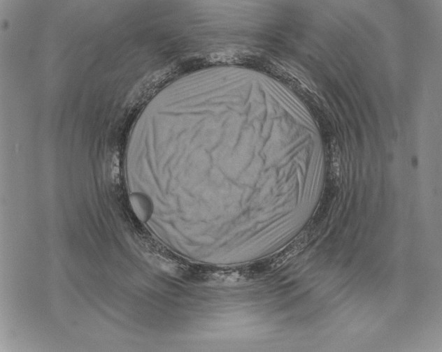 X0000075830502200610151523