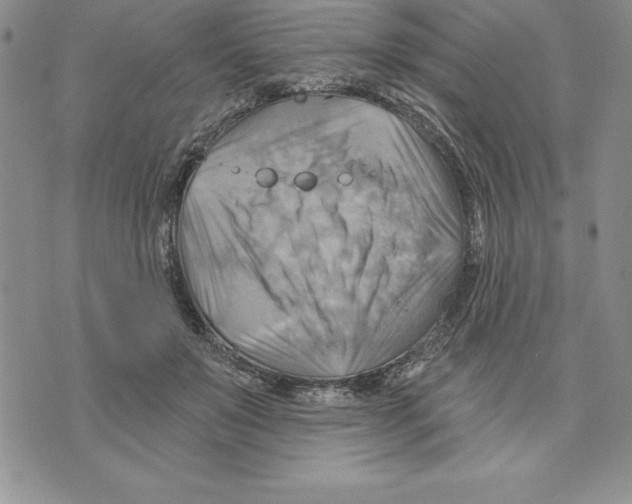 X0000075830503200610151523