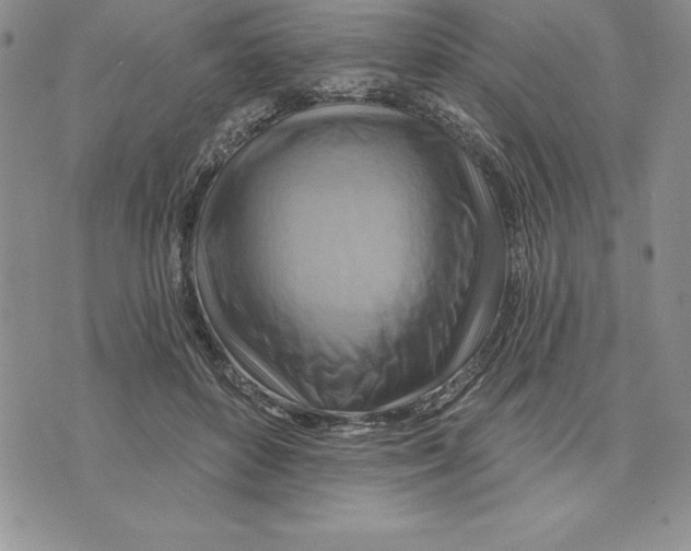 X0000075830504200610151523