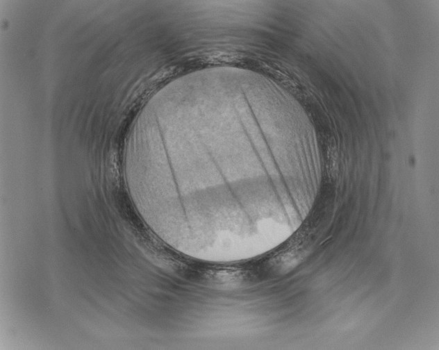 X0000075830506200610151523