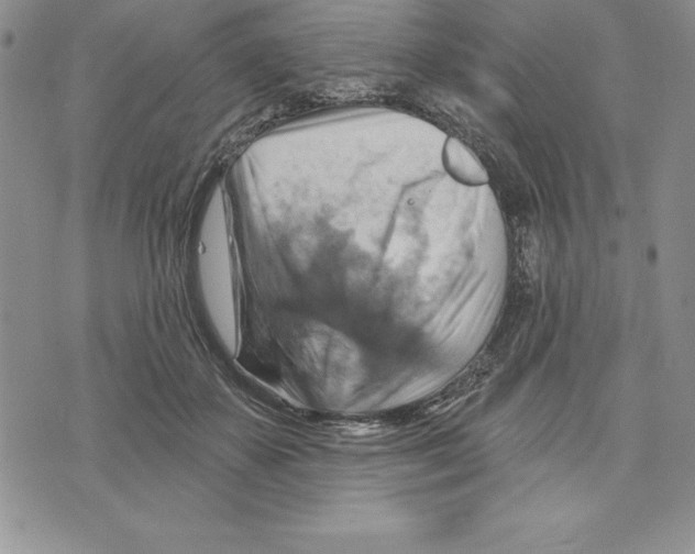 X0000075830507200610151523