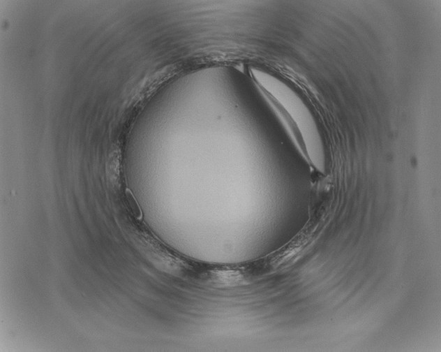 X0000075830509200610151523