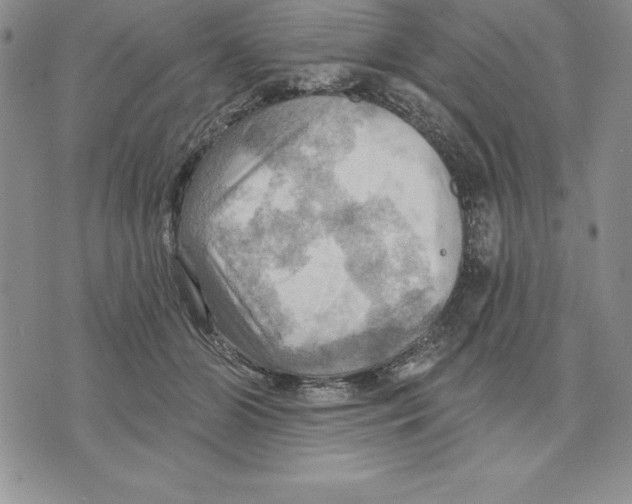 X0000075830510200610151523