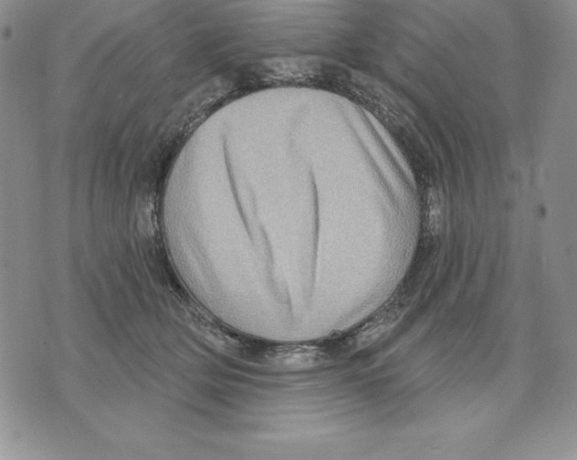 X0000075830514200610151523