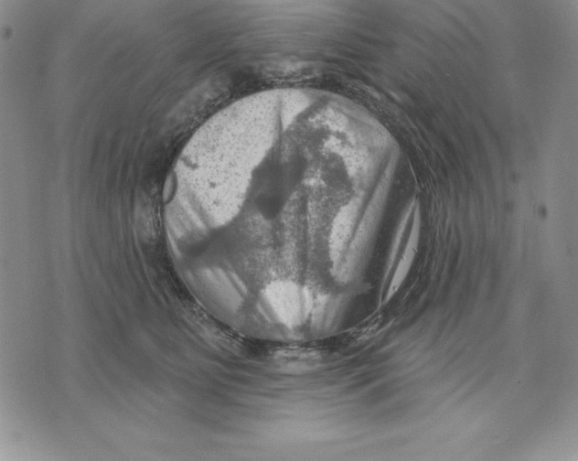 X0000075830515200610151523